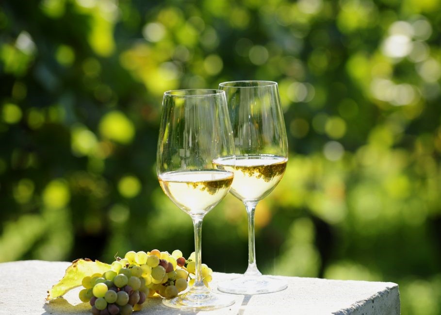 We The Italians Italian wine: Frascati The White Wine of Lazio