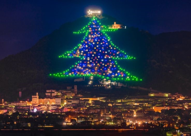 49+ Christmas Tree With Large Lights 2021