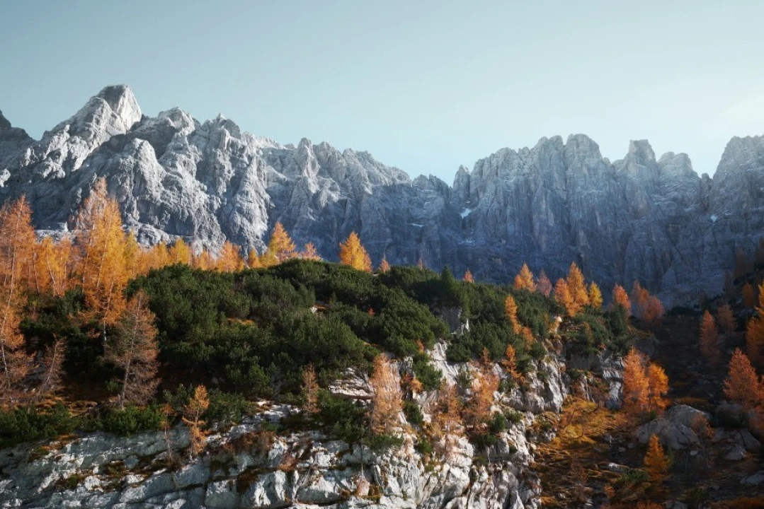 The best Italian forests to visit this autumn (2024)